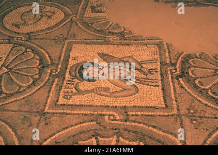 Mosaike der byzantinischen Kirche von Petra (6. Jahrhundert), UNESCO-Weltkulturerbe. Gouvernement mA'an, Jordanien. Stockfoto