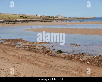 Sandside Bay Beach in Sutherland, Nord-Schottland, mit Blick auf die Gebäude am Fresgoe Harbour bei Ebbe an einem heißen Tag Stockfoto