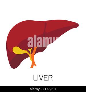 Lebersymbol in flacher Form, isoliert auf weißem Hintergrund. Menschliche Anatomie medizinischer Organvektor Stock Vektor