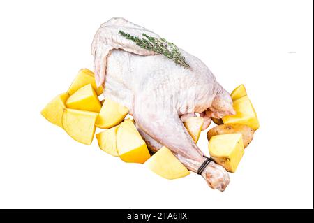 Frischer roher Guineafowl, Perlhühner mit Kartoffel, Wildvogel. Isolierter, weißer Hintergrund Stockfoto