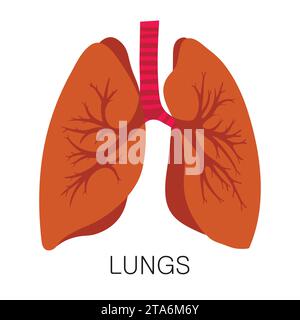 Lungen-Symbol in flacher Form isoliert auf weißem Hintergrund. Menschliche Anatomie medizinischer Organvektor Stock Vektor