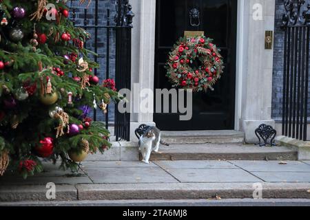 London, Vereinigtes Königreich. November 2023. Larry, die Katze, erreicht die Downing Street 10. Die Tür ist mit einem traditionellen Weihnachtskranz dekoriert. Stockfoto