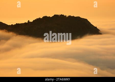 Nebel an der Küste von Lynton und Lynmouth, gesehen vom Countisbury Hill, Exmoor National Park, Devon, Großbritannien. Stockfoto