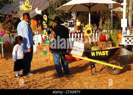 Eine Familie genießt einen Herbsttag, der Kürbis zu Halloween auf einer Farm in Half Moon Bay in der San Francisco Bay Area pflückt Stockfoto