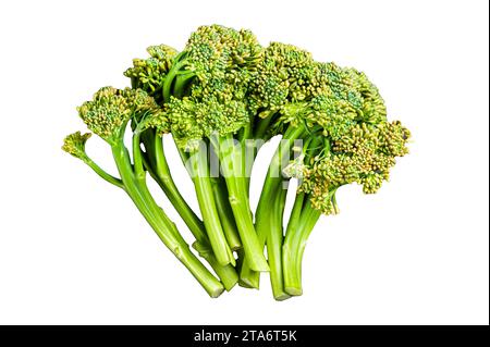 Frischer roher Bio-Broccolini-Kohl in einer Stahlschale. Isolierter, weißer Hintergrund Stockfoto