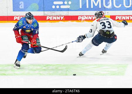 Eishockey DEL - Düsseldorfer EG vs ERC Ingolstadt am 26.11.2023 im PSD Bank Dome in Düsseldorf Düsseldorfs Philip Gogulla ( Nr.87) gegen Ingolstadts Charles Bertrand ( Nr.33) Foto: Osnapix Stockfoto