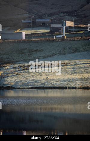 West Yorkshire, Großbritannien. November 2023. Wetter in Großbritannien. Starker Frost am Rande der M62 in West Yorkshire in der Nähe des Highpoints der Autobahn am Booth Wood Reservoir. Eine Kälteperiode wird voraussichtlich zu eisigen Bedingungen in ganz Großbritannien führen. Die M62 ist eine 107 Meilen (172 km) lange Trans-Pennine-Autobahn in Nordengland, die Liverpool und Hull über Manchester, Bradford, Leeds und Wakefield verbindet Stockfoto