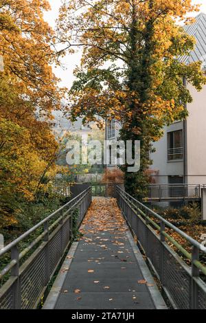 Die Fußgängerbrücke führt durch einen Park, der von Bäumen flankiert ist, zum Gebäude Stockfoto