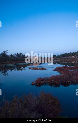 série de photos prises en fin de journée à l'automne à Peryac de mer (Aude) et au bord de l'étang de Bages-Sigean Stockfoto