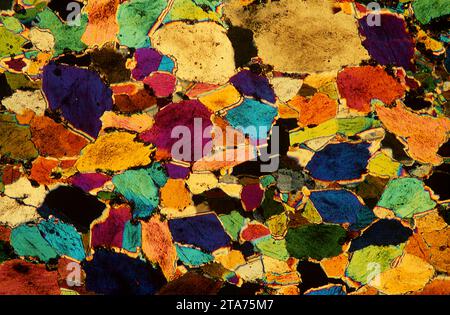 Amphibolit ist ein metamorphes Gestein, das reich an Amphibol (Hornblende) ist. Photomikrograph, Dünnschnitt, polarisiertes Licht. Stockfoto