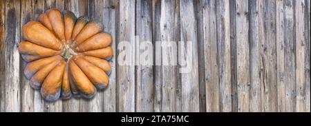 Großer gerippter Kürbis (muskatkürbis), der an einer grauen rustikalen alten Holzwand hängt Stockfoto