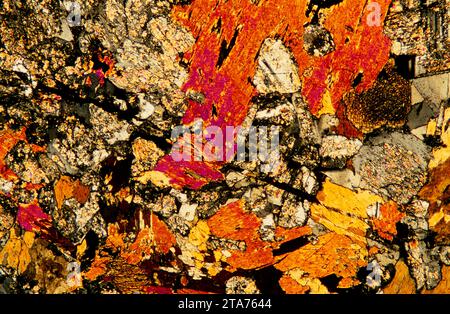 Diorit ist ein untrusives Gestein zwischen Gabbro und Granit. Photomikrograph, dünner Abschnitt, polarisiertes Licht. Stockfoto