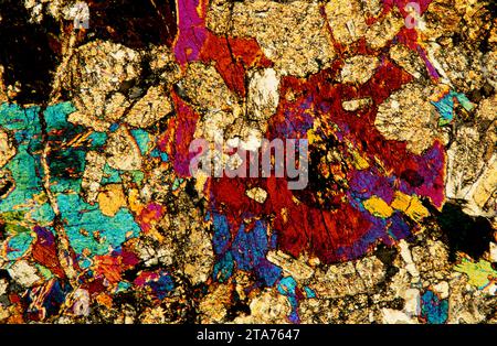 Diorit ist ein untrusives Gestein zwischen Gabbro und Granit. Photomikrograph, dünner Abschnitt, polarisiertes Licht. Stockfoto