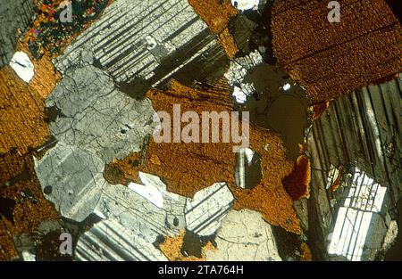 Diorit ist ein untrusives Gestein zwischen Gabbro und Granit. Photomikrograph, dünner Abschnitt, polarisiertes Licht. Stockfoto