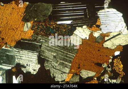 Diorit ist ein untrusives Gestein zwischen Gabbro und Granit. Photomikrograph, dünner Abschnitt, polarisiertes Licht. Stockfoto