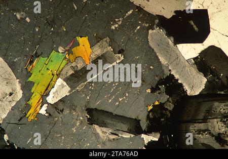 Granit ist ein magmatisches Intrusivgestein, das weit über die kontinentale Kruste verteilt ist. Photomikrograph, Dünnschnitt, polarisiertes Licht. Stockfoto