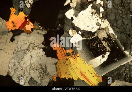 Granit ist ein magmatisches Intrusivgestein, das weit über die kontinentale Kruste verteilt ist. Photomikrograph, Dünnschnitt, polarisiertes Licht. Stockfoto