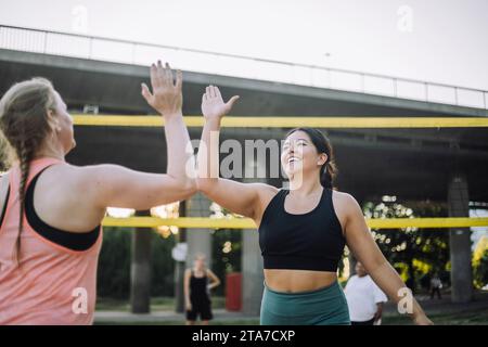 Glückliche Freundin, die während des Volleyballspiels High-Five gibt Stockfoto