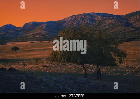 Sommer in den Macin Mountains, Rumänien bei Sonnenuntergang Stockfoto