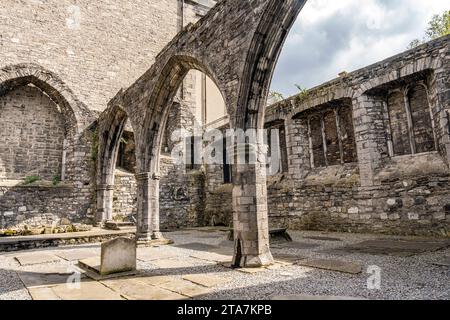 Die Ruinen der Portlester Chapel, erbaut im 15. Jahrhundert, in der St Audoen's Church, Dublin City Centre, Irland Stockfoto