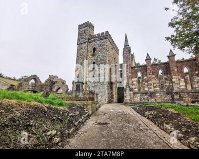 Blick auf die Südwand der Selskar Abbey, eine ruinierte Augustiner Abtei aus dem 12. Jahrhundert in Wexford, Irland. Stockfoto