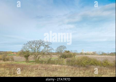 Blick auf die Landschaft der Parklands mit hohen Gräsern und Bäumen und dem alten Münster am Horizont, alles unter wolkenblauem Himmel in Beverley, Yorkshire, Großbritannien. Stockfoto