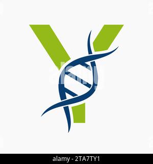 DNA-Logo auf Buchstabe Y, Genetik-Logo, Medizin-Symbol Stock Vektor