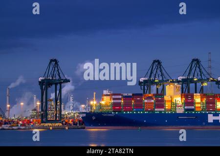 Containerschiff mit gestapelten Containern und Portalkranen am Containerterminal im Hafen von Antwerpen bei Nacht entlang der Westschelde, Flandern, Belgi Stockfoto