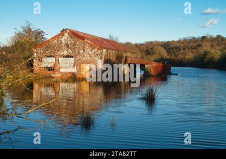 Verlassenes, verlassenes Boathouse mit Wellpappe, Brading Marshes, Saint Helens, Bembridge Isle of Wight UK Stockfoto