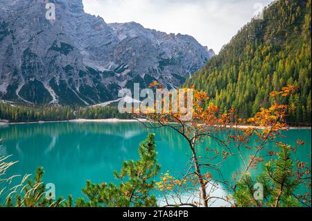 Atemberaubende Landschaftsfarben in der Nähe eines Bergsees in den Dolomiten Stockfoto