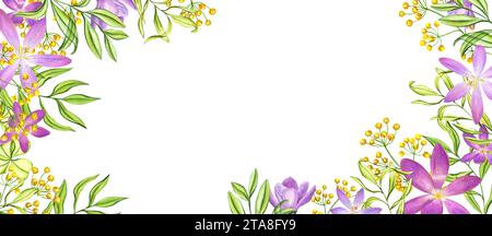 Horizontaler Rahmen mit Safranblüten und wilden Kräutern. Frühlingsblume, Krokus, grüne Pflanzen. Kopierbereich für Text. Aquarellabbildung Stockfoto