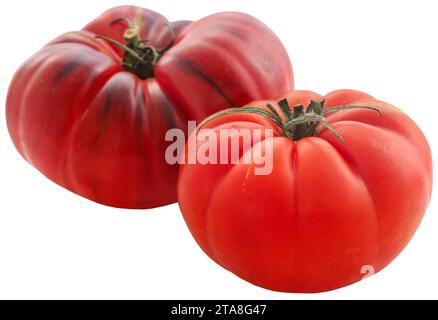 Schwarze russische Tomate frisch Bio Stockfoto