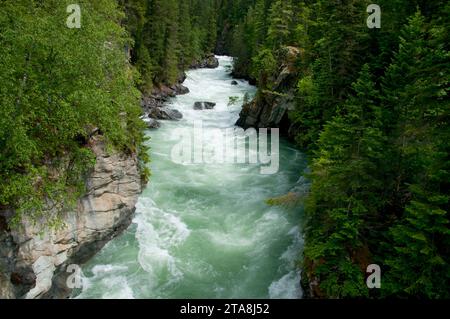 Fraser River, Mt Robson Provincial Park, Britisch-Kolumbien, Kanada Stockfoto