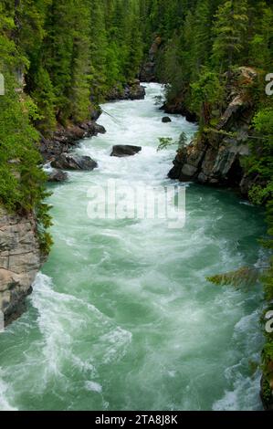 Fraser River, Mt Robson Provincial Park, Britisch-Kolumbien, Kanada Stockfoto