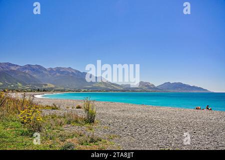 Blick auf Strand, Kaikoura Coast, Kaikoura, Canterbury, Südinsel, Neuseeland Stockfoto