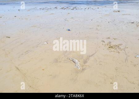 Unbearbeitetes Rohfoto von friedlichem Wasserhorizont und Sandzusammensetzung. Nützlicher Sommerhintergrund mit Sandstrand mit Wasserrand Stockfoto