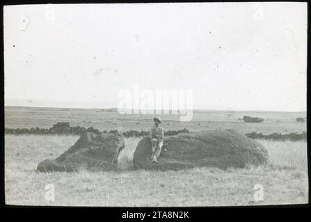 Blick auf einen auf dem Boden liegenden Moai; ein Mann steht links von der Skulptur, mit der linken Hand berührt er den Stein; außerhalb von Rano Raraku, oC, G.T.1464, Mana Expedition zur Osterinsel. Stockfoto