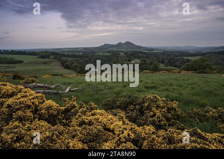 Landschaft in der schottischen Grenze in der Nähe des Aussichtspunkts scotts View. Stockfoto