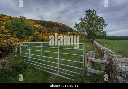 Landschaft in der schottischen Grenze in der Nähe des Aussichtspunkts scotts View. Stockfoto