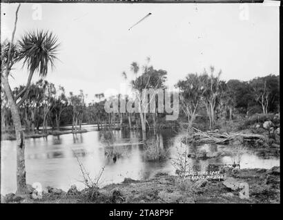 Blick auf den Cabbage Tree Lake, Auckland (V1-FL73765688). Stockfoto