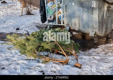 Eine Mülldeponie voller entsorgter Weihnachtsbäume, ein beliebter Anblick nach der Weihnachtszeit. Stockfoto