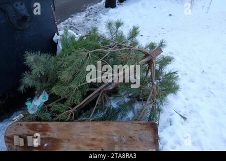 Eine Mülldeponie voller entsorgter Weihnachtsbäume, ein beliebter Anblick nach der Weihnachtszeit. Stockfoto