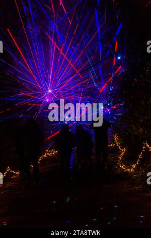 Romsey, Hampshire, Vereinigtes Königreich. November 2023. Vorschau Abend der Light Up Trails in den Sir Harold Hillier Gardens in Romsey, der morgen eröffnet wird mit einem kilometerlangen, immersiven Erlebnis, das von Light Up Trails geschaffen wird. Die prächtigen Gärten, die weltweit für ihre Sammlungen von Bäumen und seltenen Pflanzen bekannt sind, werden an Weihnachten in einem aufregenden neuen Licht gesehen, während die preisgekrönte Besucherattraktion nach Einbruch der Dunkelheit ihre Tore für ein ganz besonderes, absolut schönes Erlebnis öffnet, mit den Lichtern, die die Landschaft betonen, wie sie noch nie zuvor gesehen wurden. Quelle: Carolyn Jenkins/Alamy Live News Stockfoto