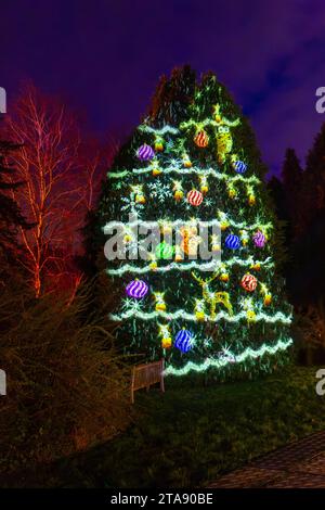 Romsey, Hampshire, Vereinigtes Königreich. November 2023. Vorschau Abend der Light Up Trails in den Sir Harold Hillier Gardens in Romsey, der morgen eröffnet wird mit einem kilometerlangen, immersiven Erlebnis, das von Light Up Trails geschaffen wird. Die prächtigen Gärten, die weltweit für ihre Sammlungen von Bäumen und seltenen Pflanzen bekannt sind, werden an Weihnachten in einem aufregenden neuen Licht gesehen, während die preisgekrönte Besucherattraktion nach Einbruch der Dunkelheit ihre Tore für ein ganz besonderes, absolut schönes Erlebnis öffnet, mit den Lichtern, die die Landschaft betonen, wie sie noch nie zuvor gesehen wurden. Quelle: Carolyn Jenkins/Alamy Live News Stockfoto