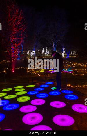 Romsey, Hampshire, Vereinigtes Königreich. November 2023. Vorschau Abend der Light Up Trails in den Sir Harold Hillier Gardens in Romsey, der morgen eröffnet wird mit einem kilometerlangen, immersiven Erlebnis, das von Light Up Trails geschaffen wird. Die prächtigen Gärten, die weltweit für ihre Sammlungen von Bäumen und seltenen Pflanzen bekannt sind, werden an Weihnachten in einem aufregenden neuen Licht gesehen, während die preisgekrönte Besucherattraktion nach Einbruch der Dunkelheit ihre Tore für ein ganz besonderes, absolut schönes Erlebnis öffnet, mit den Lichtern, die die Landschaft betonen, wie sie noch nie zuvor gesehen wurden. Quelle: Carolyn Jenkins/Alamy Live News Stockfoto