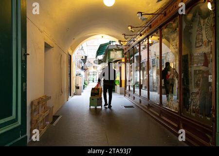 Foto eines Mannes, der durch die Gassen der Altstadt von Wien in der Nähe des Stephansplatzes geht, während er einen von hinten fotografierten Koffer trägt Stockfoto