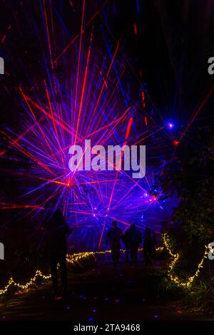 Romsey, Hampshire, Vereinigtes Königreich. November 2023. Vorschau Abend der Light Up Trails in den Sir Harold Hillier Gardens in Romsey, der morgen eröffnet wird mit einem kilometerlangen, immersiven Erlebnis, das von Light Up Trails geschaffen wird. Die prächtigen Gärten, die weltweit für ihre Sammlungen von Bäumen und seltenen Pflanzen bekannt sind, werden an Weihnachten in einem aufregenden neuen Licht gesehen, während die preisgekrönte Besucherattraktion nach Einbruch der Dunkelheit ihre Tore für ein ganz besonderes, absolut schönes Erlebnis öffnet, mit den Lichtern, die die Landschaft betonen, wie sie noch nie zuvor gesehen wurden. Quelle: Carolyn Jenkins/Alamy Live News Stockfoto