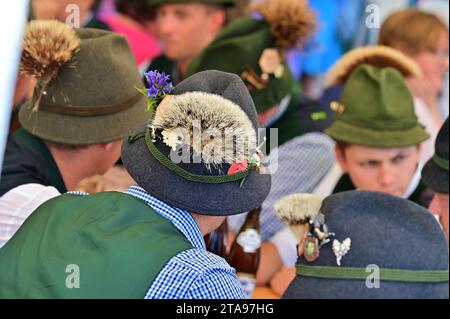 Ein typischer Hut mit Gämsenbart im Salzkammergut (Bad Goisern) Stockfoto