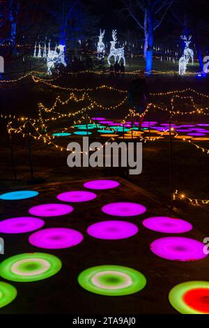 Romsey, Hampshire, Vereinigtes Königreich. November 2023. Vorschau Abend der Light Up Trails in den Sir Harold Hillier Gardens in Romsey, der morgen eröffnet wird mit einem kilometerlangen, immersiven Erlebnis, das von Light Up Trails geschaffen wird. Die prächtigen Gärten, die weltweit für ihre Sammlungen von Bäumen und seltenen Pflanzen bekannt sind, werden an Weihnachten in einem aufregenden neuen Licht gesehen, während die preisgekrönte Besucherattraktion nach Einbruch der Dunkelheit ihre Tore für ein ganz besonderes, absolut schönes Erlebnis öffnet, mit den Lichtern, die die Landschaft betonen, wie sie noch nie zuvor gesehen wurden. Quelle: Carolyn Jenkins/Alamy Live News Stockfoto