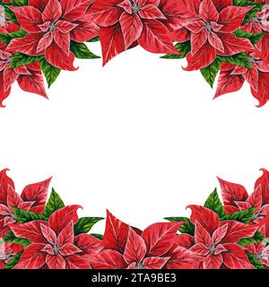 Weihnachtsblume Weihnachtsstern Rahmen, handgemalte Aquarellillustration isoliert auf weißem Hintergrund. Blumenillustration zur Weihnachtsdekoration Stockfoto